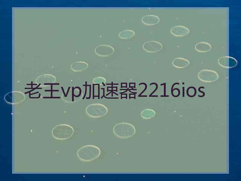 老王vp加速器2216ios