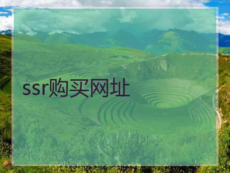 ssr购买网址