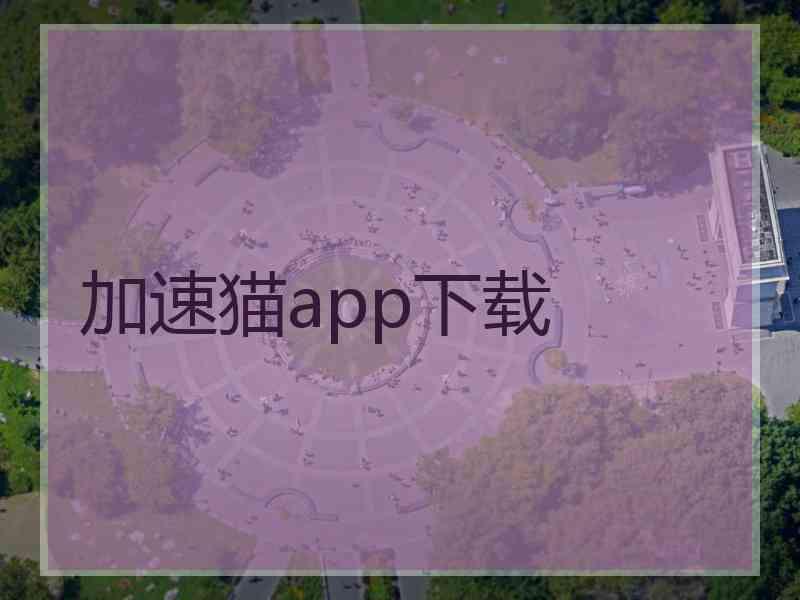 加速猫app下载