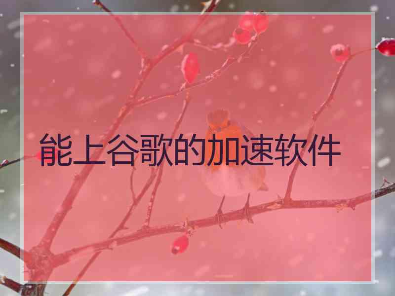 能上谷歌的加速软件