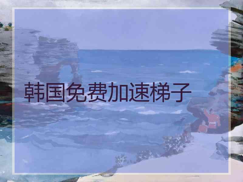 韩国免费加速梯子
