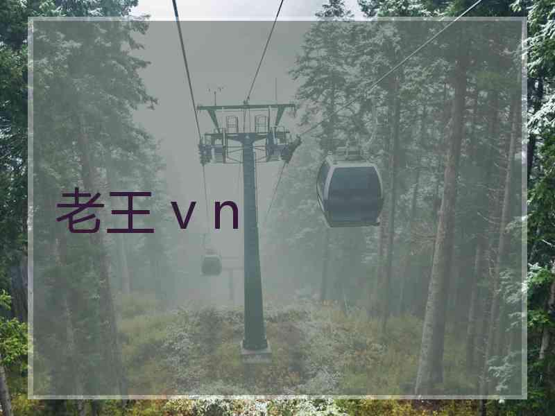 老王 v n