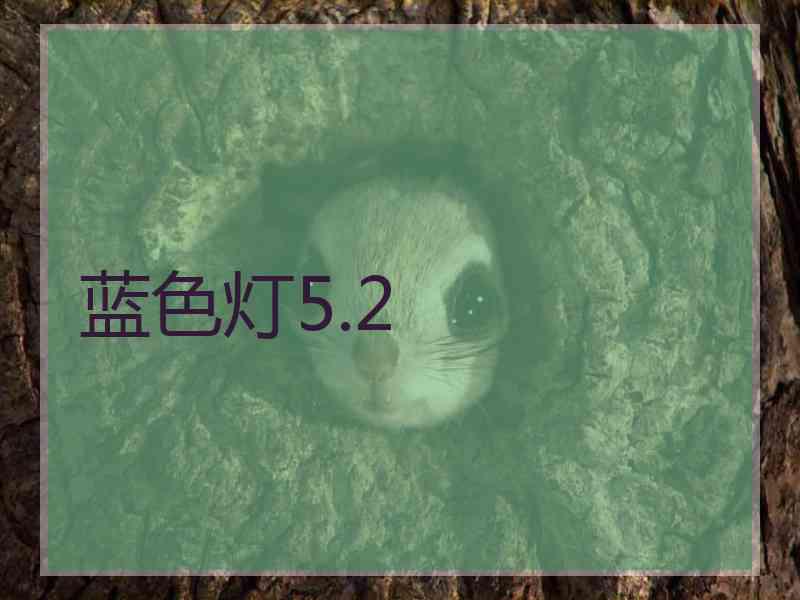 蓝色灯5.2