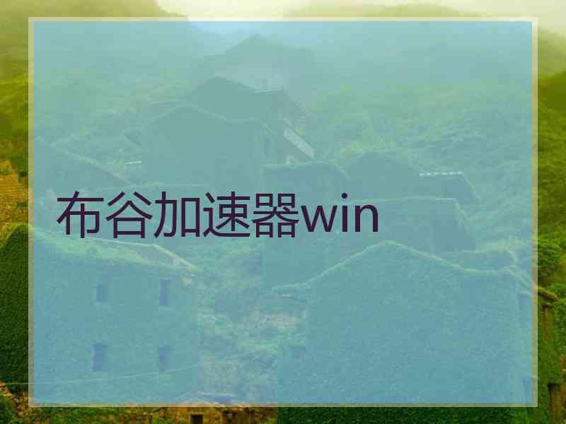 布谷加速器win