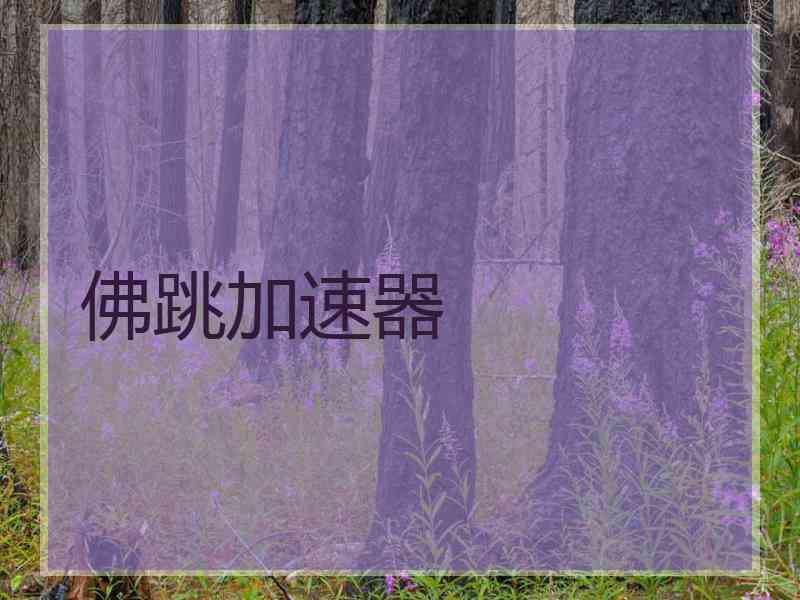 佛跳加速器