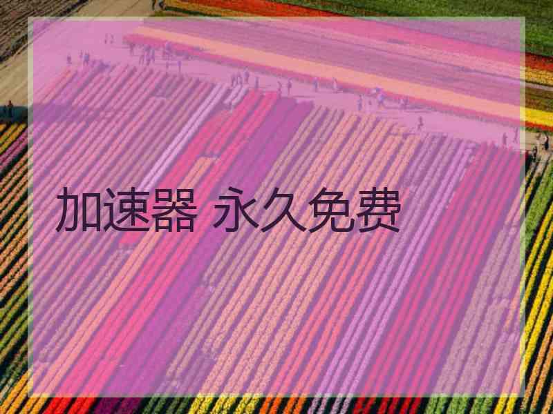 加速器 永久免费