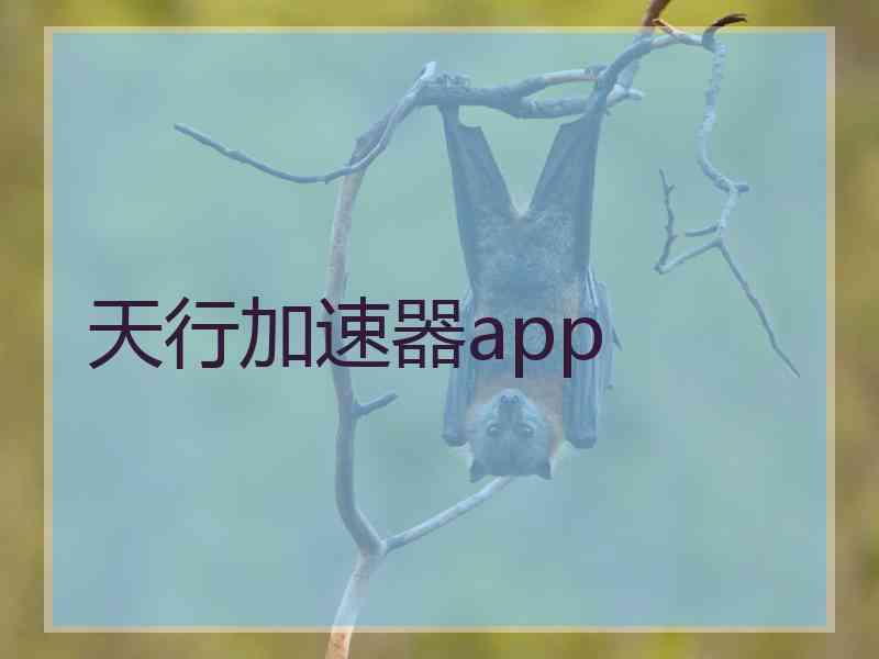 天行加速器app