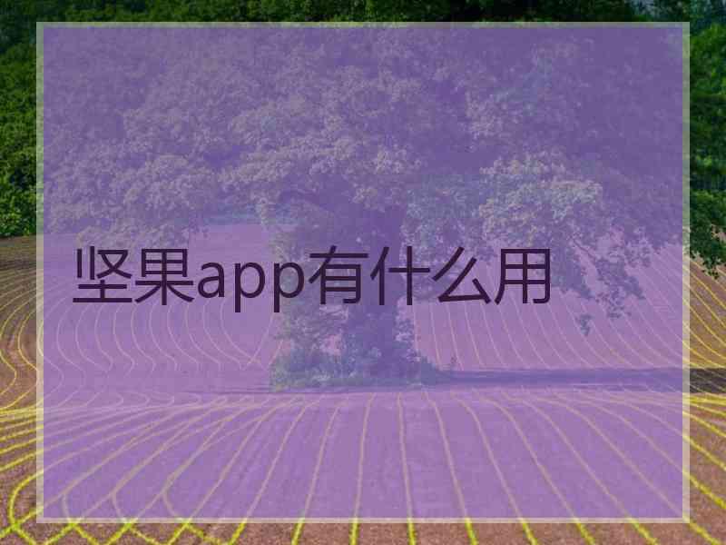 坚果app有什么用
