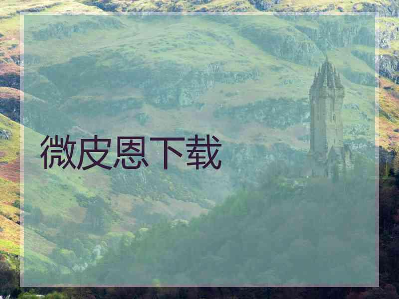 微皮恩下载
