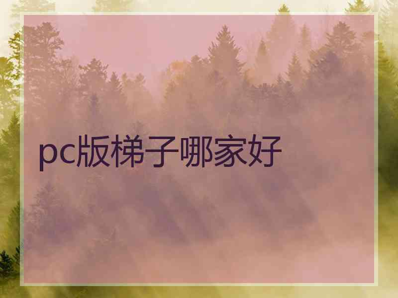 pc版梯子哪家好