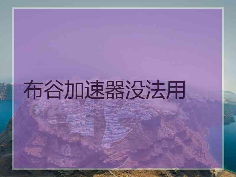 布谷加速器没法用