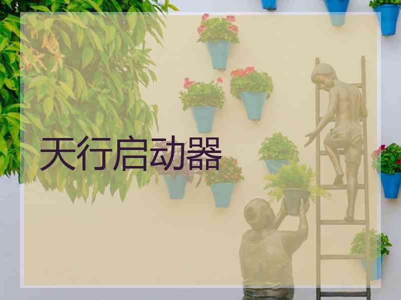 天行启动器
