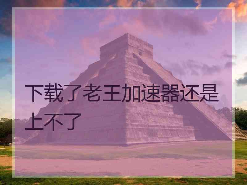 下载了老王加速器还是上不了