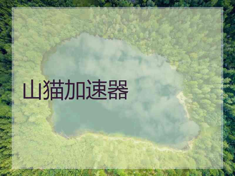 山猫加速器
