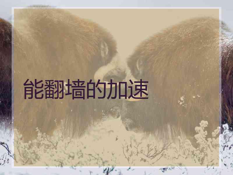 能翻墙的加速
