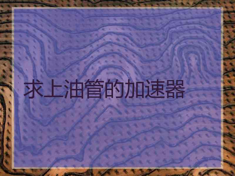 求上油管的加速器