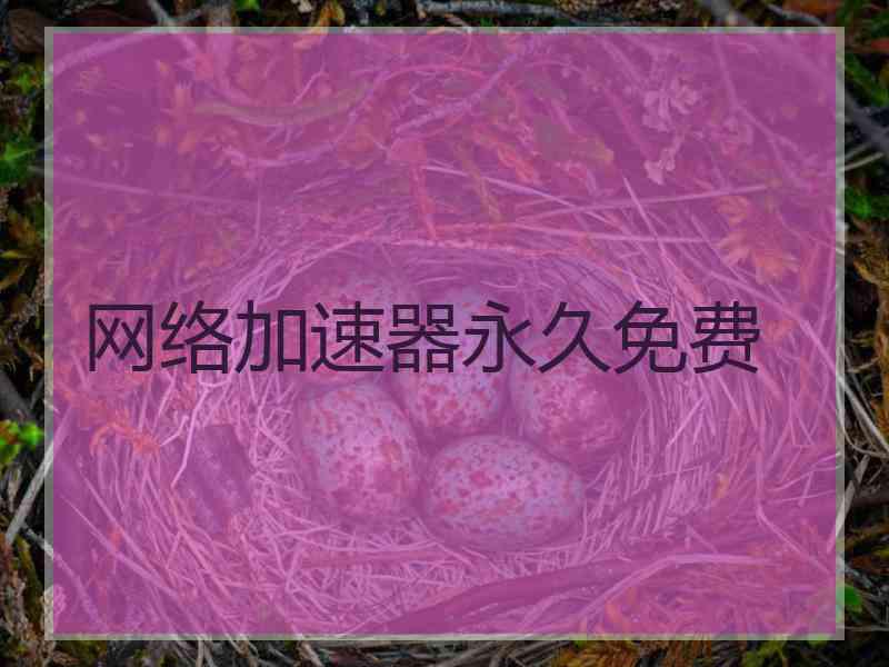网络加速器永久免费
