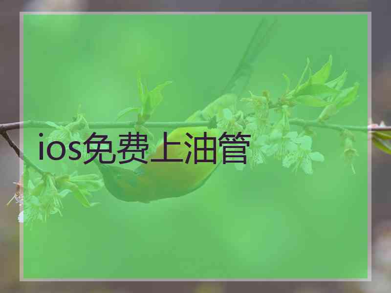 ios免费上油管