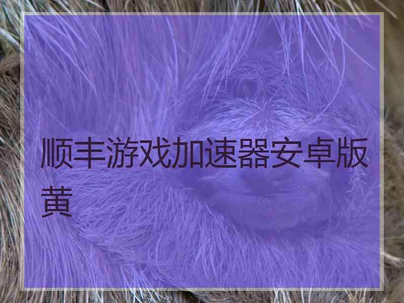 顺丰游戏加速器安卓版黄