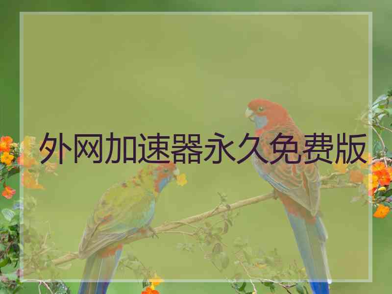 外网加速器永久免费版