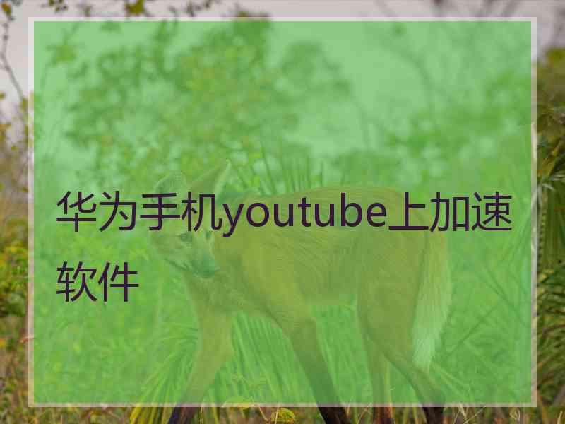 华为手机youtube上加速软件