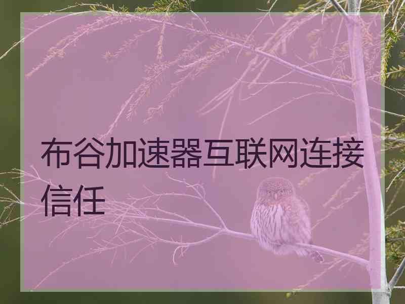 布谷加速器互联网连接信任