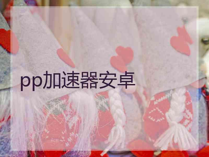 pp加速器安卓