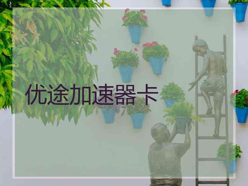 优途加速器卡