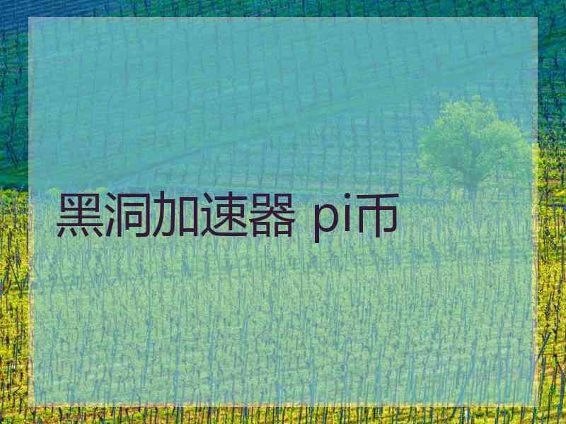 黑洞加速器 pi币