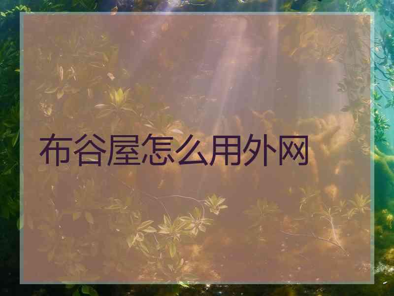 布谷屋怎么用外网