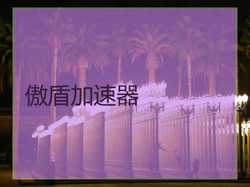 傲盾加速器