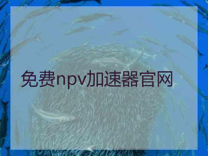 免费npv加速器官网