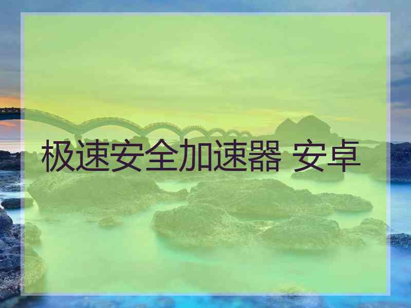 极速安全加速器 安卓