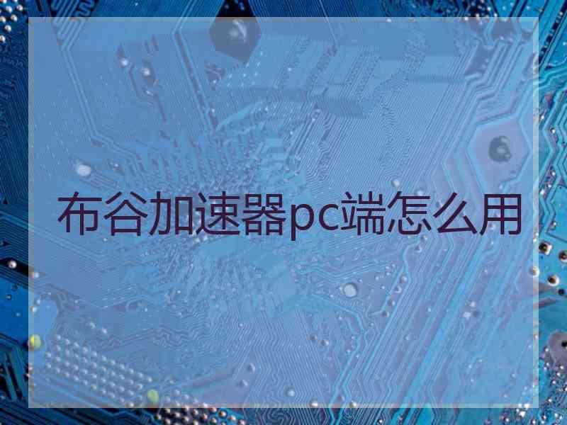 布谷加速器pc端怎么用