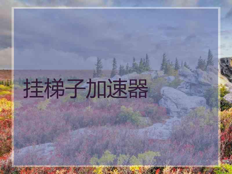 挂梯子加速器