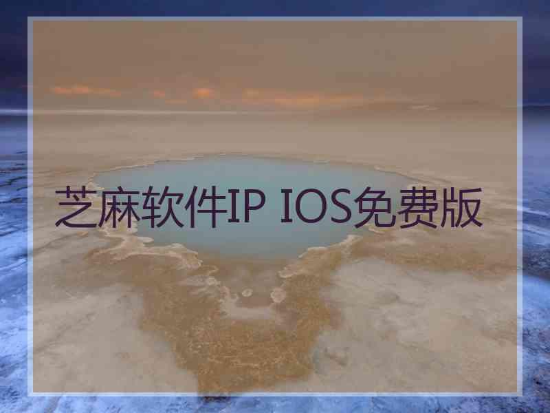 芝麻软件IP IOS免费版