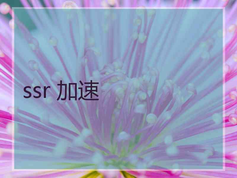 ssr 加速