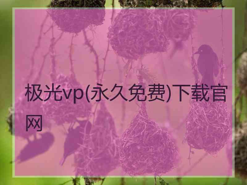 极光vp(永久免费)下载官网