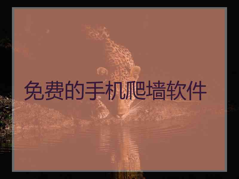 免费的手机爬墙软件