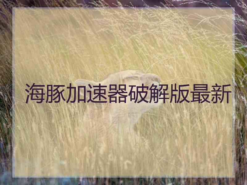海豚加速器破解版最新