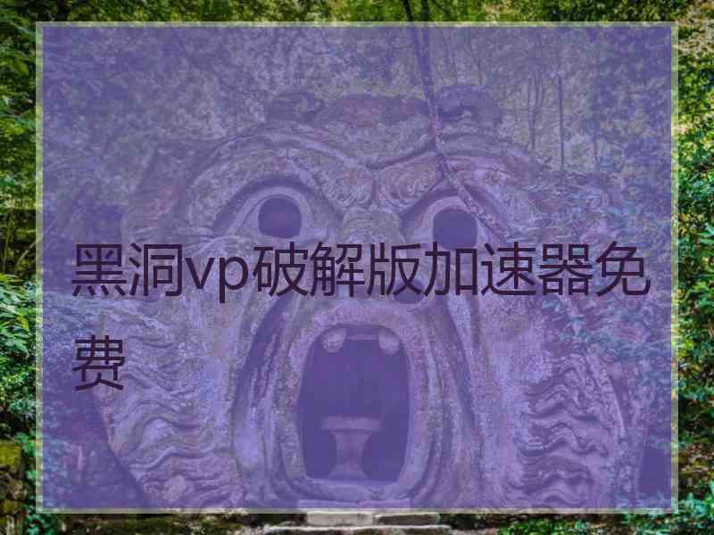 黑洞vp破解版加速器免费