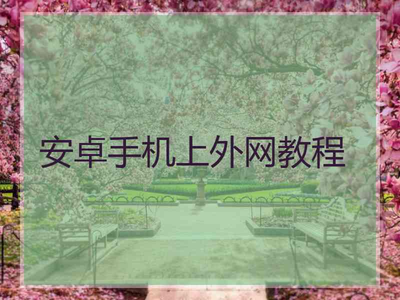 安卓手机上外网教程