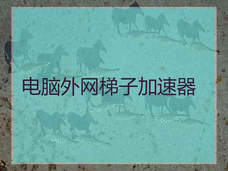 电脑外网梯子加速器