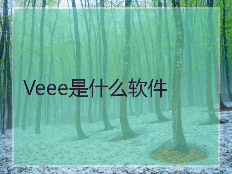 Veee是什么软件