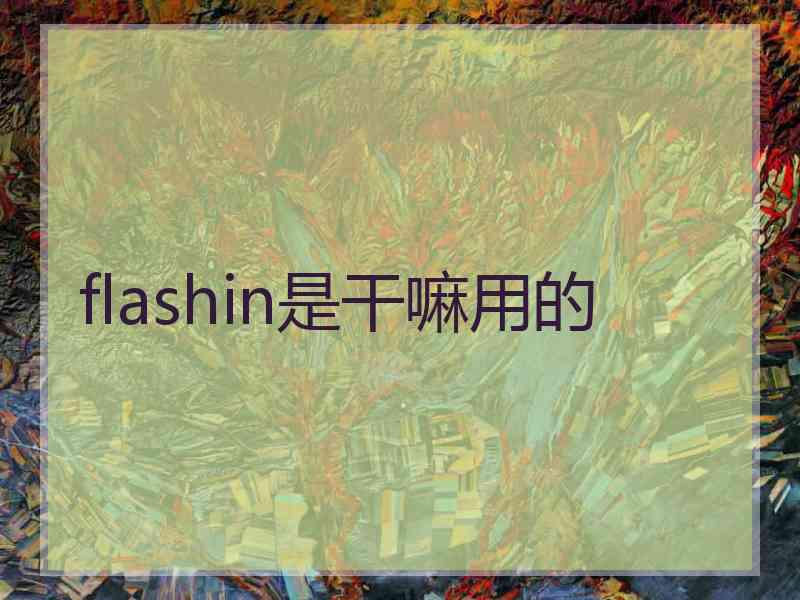 flashin是干嘛用的