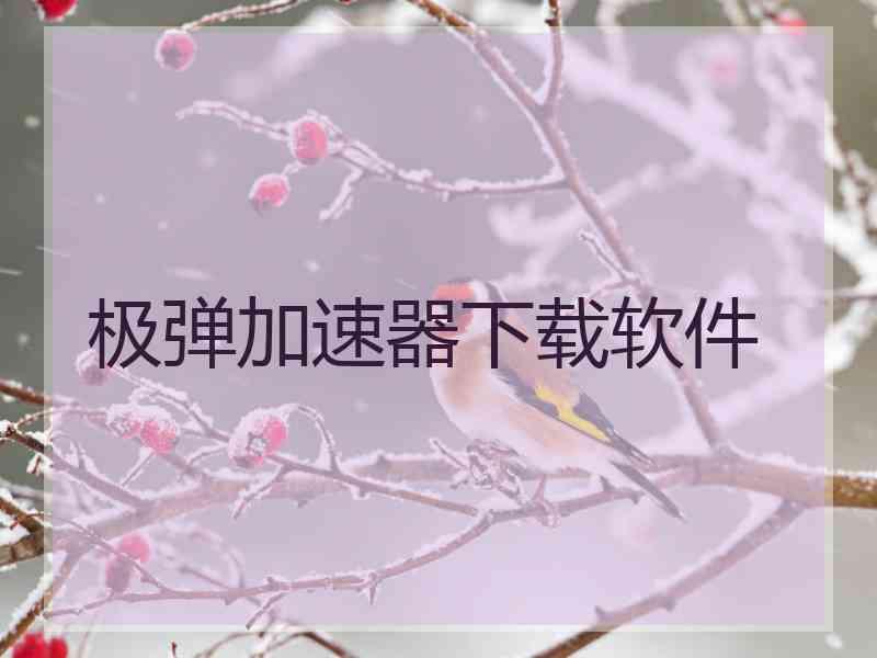 极弹加速器下载软件