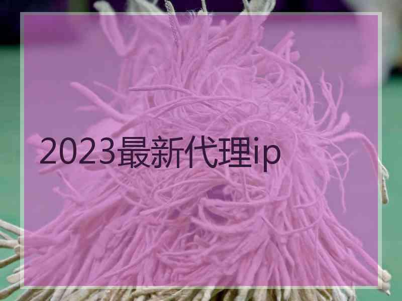 2023最新代理ip
