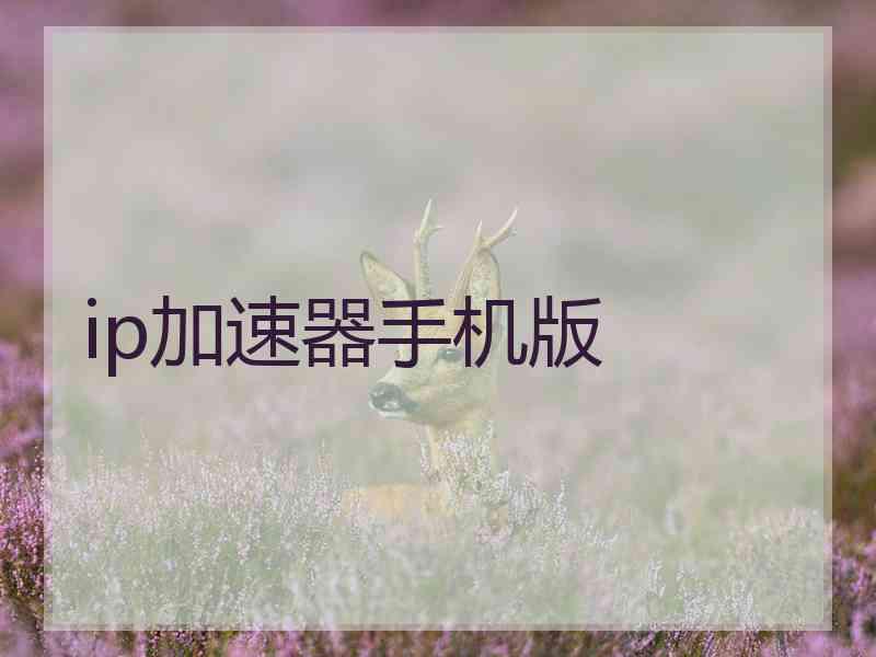 ip加速器手机版
