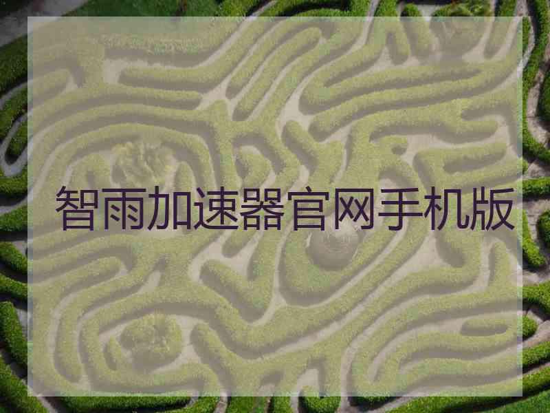 智雨加速器官网手机版
