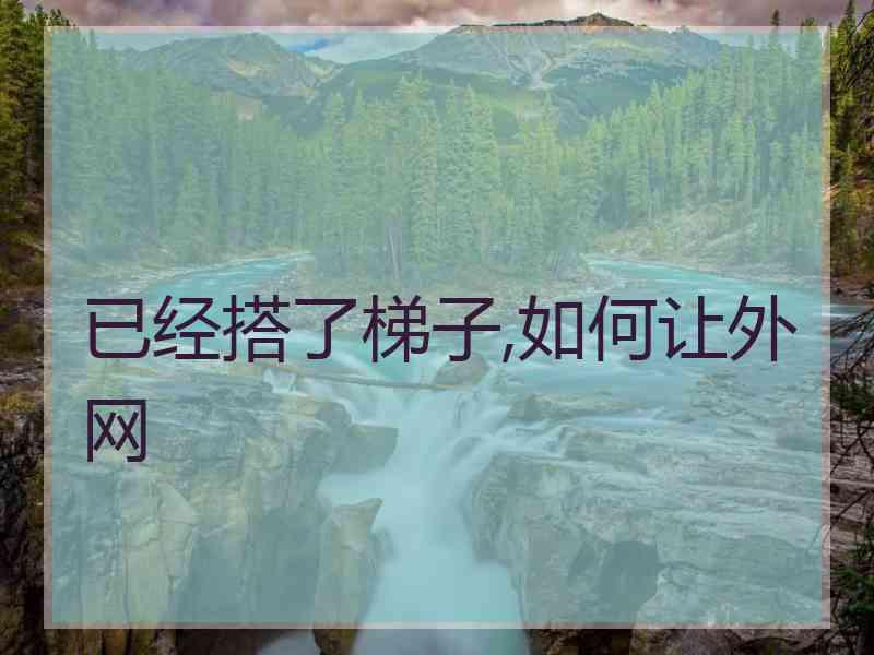 已经搭了梯子,如何让外网